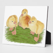 Buff Goslings Tufted Fotoplatte (Seite)