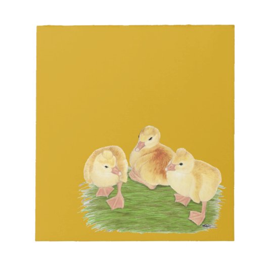 Buff Goslings Tufted Notizblock (Vorderseite)