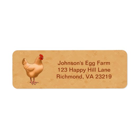 Buff Orpington Chicken Hen (Vorne)