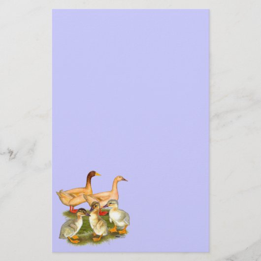 Buff Orpington Duck Family Briefpapier (Vorderseite)