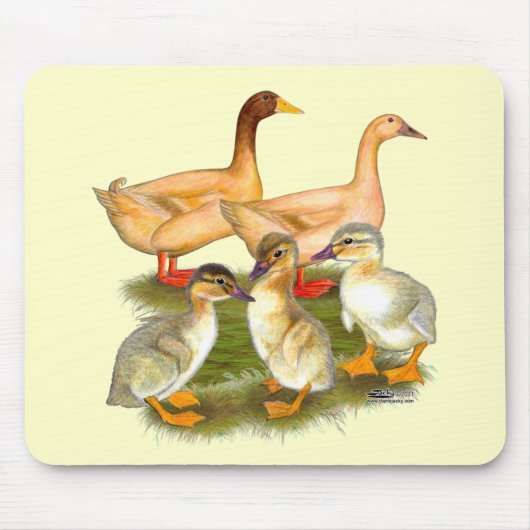 Buff Orpington Duck Family Mousepad (Vorne)