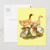 Buff Orpington Duck Family Postkarte (Vorne/Hinten)