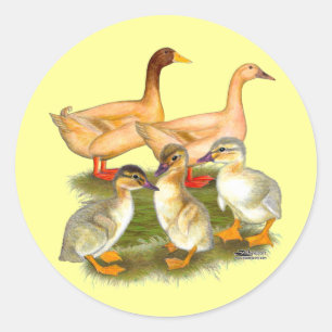 Buff Orpington Duck Family Runder Aufkleber