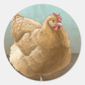 Buff Orpington Hen Stickers (Vorderseite)