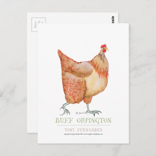 Buff Orpington hen, tony fernandes Postkarte (Vorne/Hinten)
