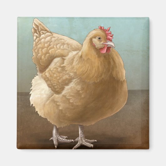 Buff Orpington Magnete Magnet (Vorne)