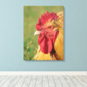 Buff Orpington Rooster Canvas Print Leinwanddruck (Insitu (Holzboden))