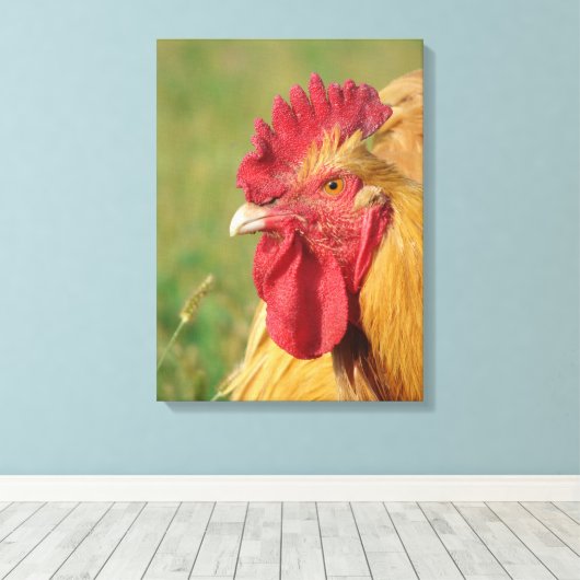 Buff Orpington Rooster Canvas Print Leinwanddruck (Insitu (Holzboden))