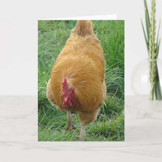 Buff Rooster Karte (Vorderseite)