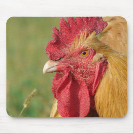 Buff Rooster Mousepad