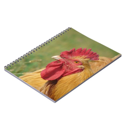 Buff Rooster Notizblock (Linke Seite)