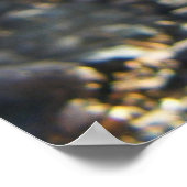 Buff Silkie Chicken Chick Poster (Ecke)