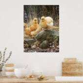 Buff Silkie Chickens Stehendes Poster (Küche)