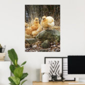 Buff Silkie Chickens Stehendes Poster (Heimbüro)