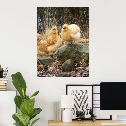 Buff Silkie Chickens Stehendes Poster (Heimbüro)