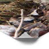 Buff Silkie Chickens Stehendes Poster (Ecke)