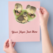 Buff Spitz Goslings Flyer (Hand)