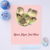 Buff Spitz Goslings Flyer (Einzeln)
