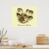 Buff Spitz Goslings Poster (Küche)