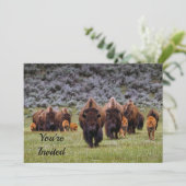 Buffalo 2 Einladung zum Geburtstag (Stehend Vorderseite)