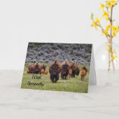 Buffalo 2 Sympathy Card Karte (Gelbe Blume)
