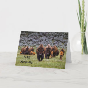 Buffalo 2 Sympathy Card Karte