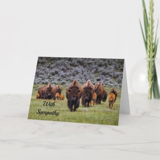 Buffalo 2 Sympathy Card Karte (Vorderseite)