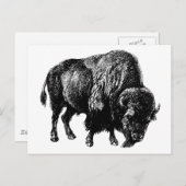 Buffalo American Bison Vintag Wood Gravur Postkarte (Vorne/Hinten)