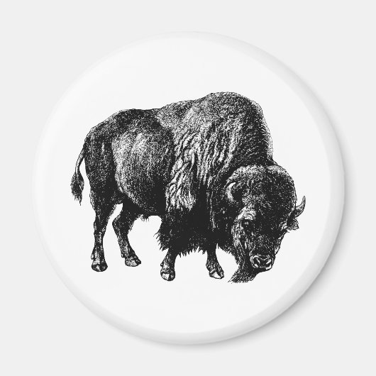 Buffalo Amerikanischer Bison Magnet (Vorne)