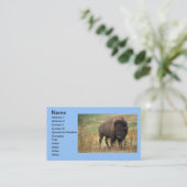 Buffalo Animal Art Indian Office Business Visitenkarte (Stehend Vorderseite)