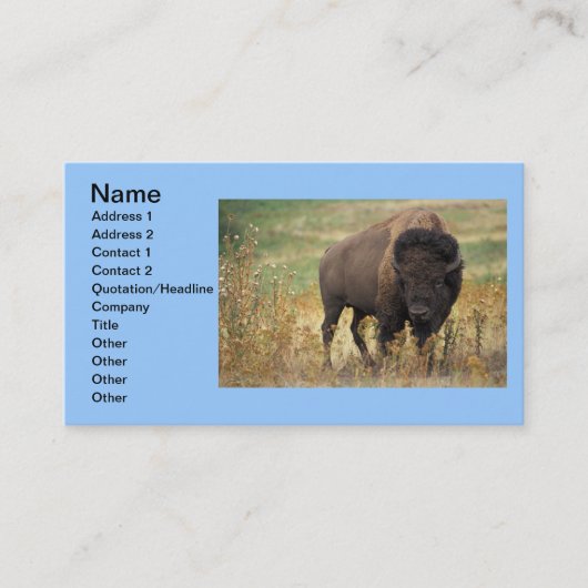 Buffalo Animal Art Indian Office Business Visitenkarte (Vorderseite)