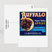 Buffalo Äpfel Postkarte (Vorne/Hinten)