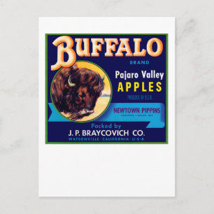 Buffalo Äpfel Postkarte