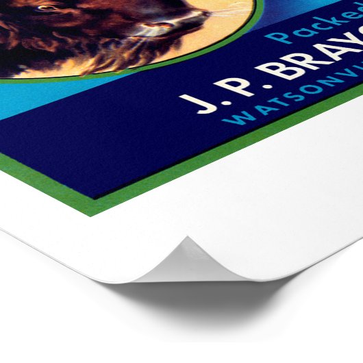 Buffalo Apples Poster (Ecke)