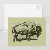 Buffalo Art Postkarte (Vorne/Hinten)