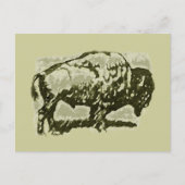 Buffalo Art Postkarte (Vorderseite)