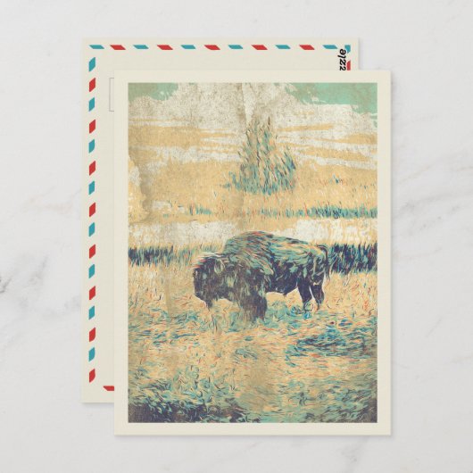 Buffalo auf den Ebenen Amerikas Postkarte (Vorne/Hinten)
