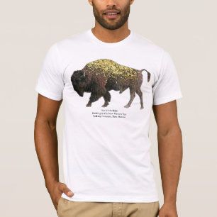 Buffalo Basking in New Mexico Sun T - Shirt