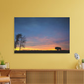 Buffalo bei Sunset in Elk Island National Park Leinwanddruck (Insitu (Wohnzimmer))