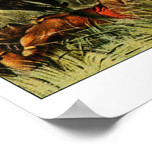 Buffalo Bill - Print Poster (Ecke)