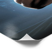 Buffalo Bills 6 Poster (Ecke)