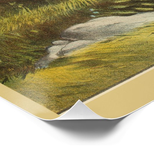 Buffalo Bills wilde Westpferde Poster (Ecke)