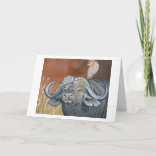 Buffalo Birthday Card Karte