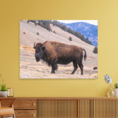 Buffalo Bison American Wildlife Leinwanddruck (Insitu (Wohnzimmer))