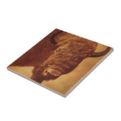 Buffalo / Bison Fliese (Seite)