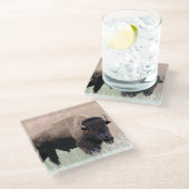 Buffalo / Bison Glasuntersetzer (Schrägansicht)