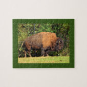 Buffalo (Bison) Kansas, Oklahoma, Wyoming Puzzle (Horizontal)