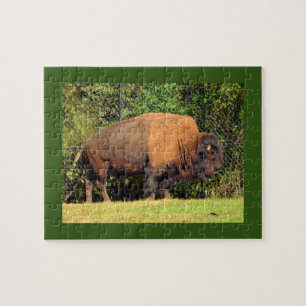 Buffalo (Bison) Kansas, Oklahoma, Wyoming Puzzle