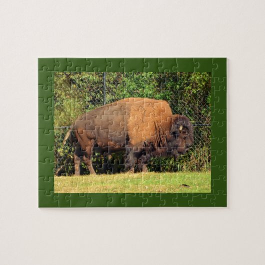 Buffalo (Bison) Kansas, Oklahoma, Wyoming Puzzle (Horizontal)