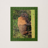 Buffalo (Bison) Kansas, Oklahoma, Wyoming Puzzle (Vertikal)